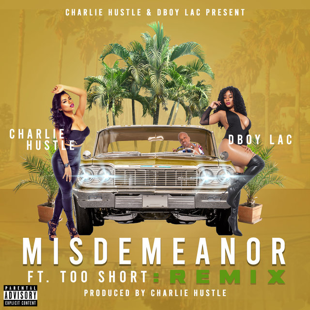 Misdemeanor (Remix)