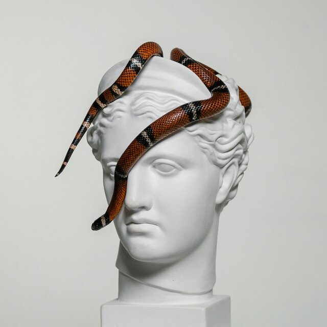 Temporal