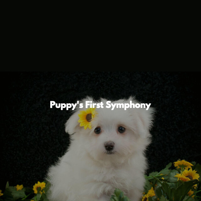 Puppy's First Symphony