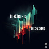 Trespassing (Radio Edit)