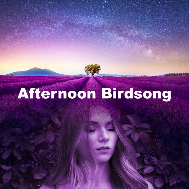 Afternoon Birdsong