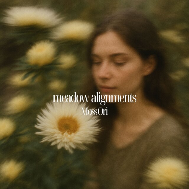 Meadow Alignments