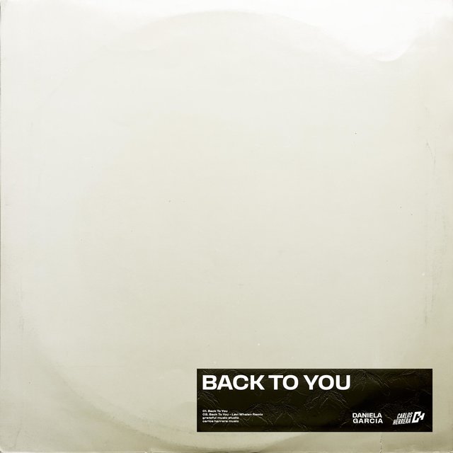 Back to You (feat. Levi Whalen)