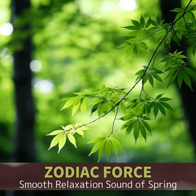 Smooth Relaxation Sound of Spring