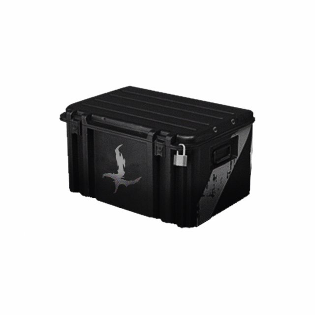 The Blackbox
