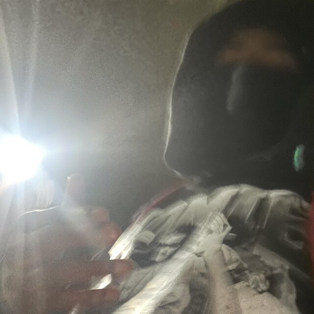 Free23
