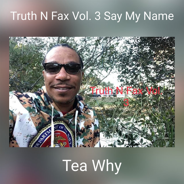 Truth N Fax Vol. 3 Say My Name