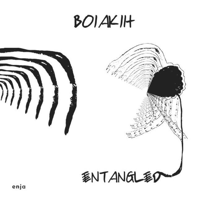 Cover art for album Entangled by Boi Akih