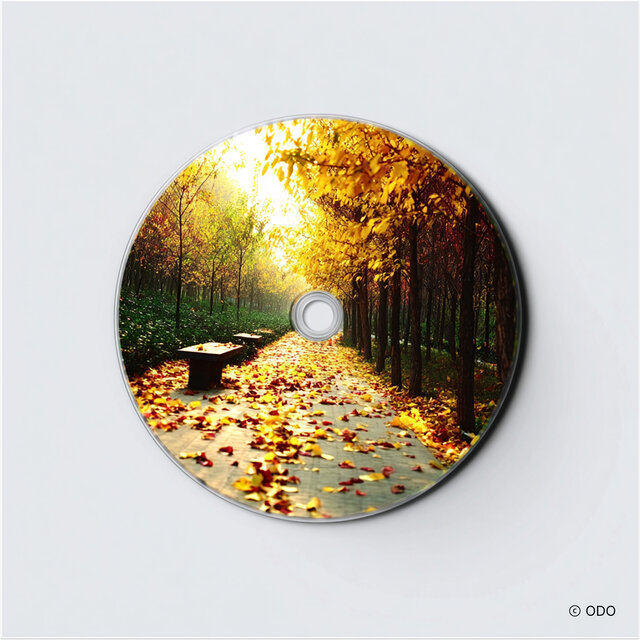 Autumn Overlay