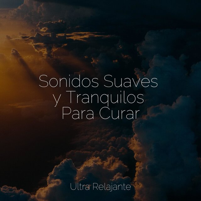 Sonidos Suaves y Tranquilos Para Curar