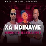 Xandinawe