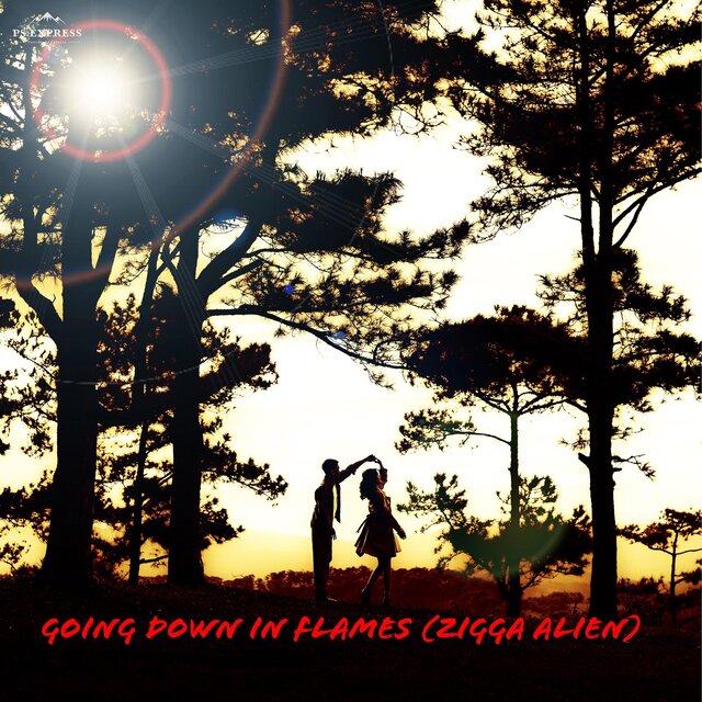Going Down in Flames