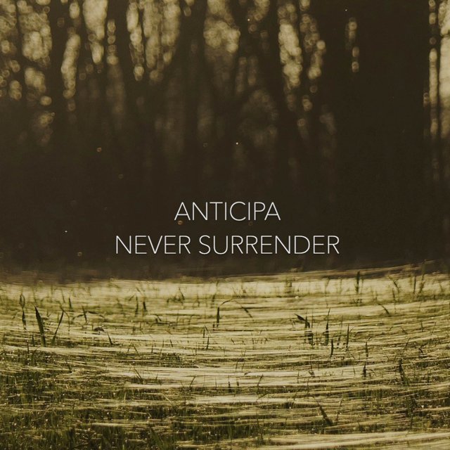 Never Surrender