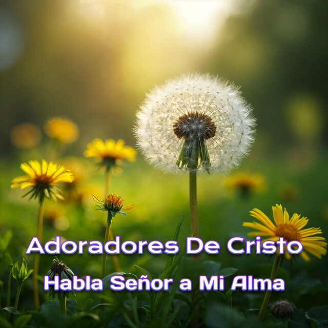 Habla Señor a Mi Alma