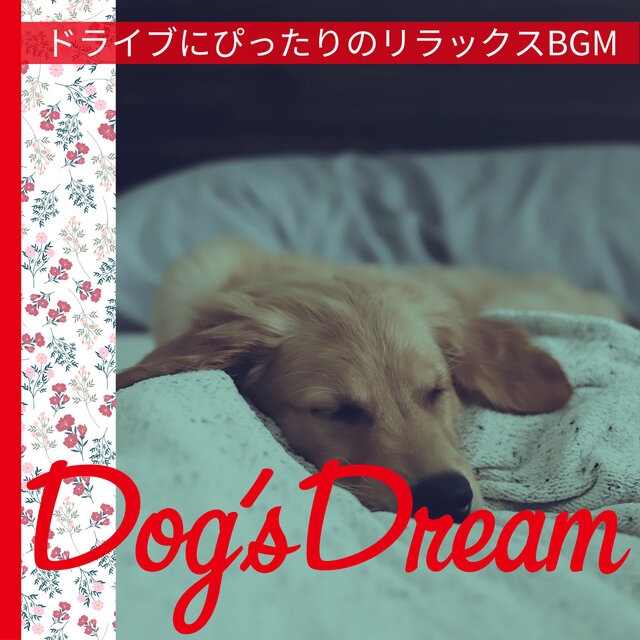 ドライブにぴったりのリラックスBGM