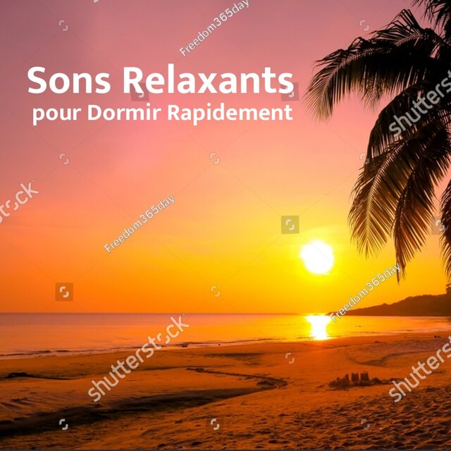 Sons Relaxants pour Dormir Rapidement