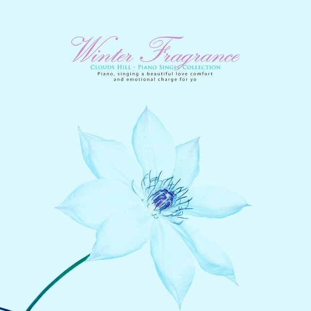 Winter scent