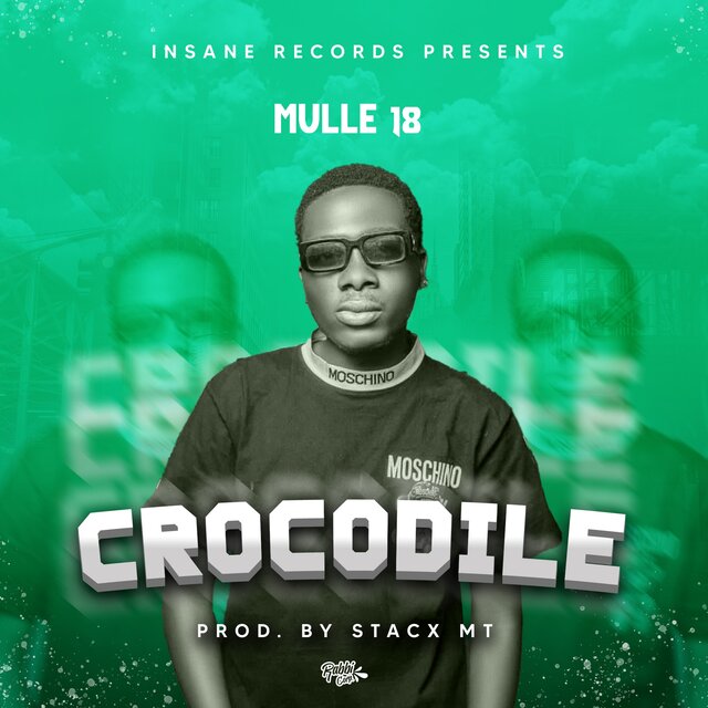 Crocodile