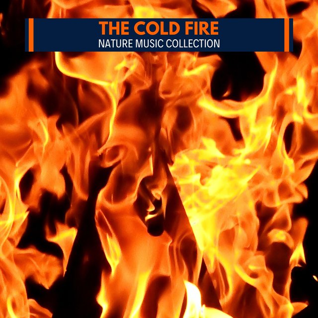 The Cold Fire - Nature Music Collection