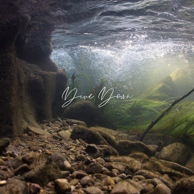 Dive Down