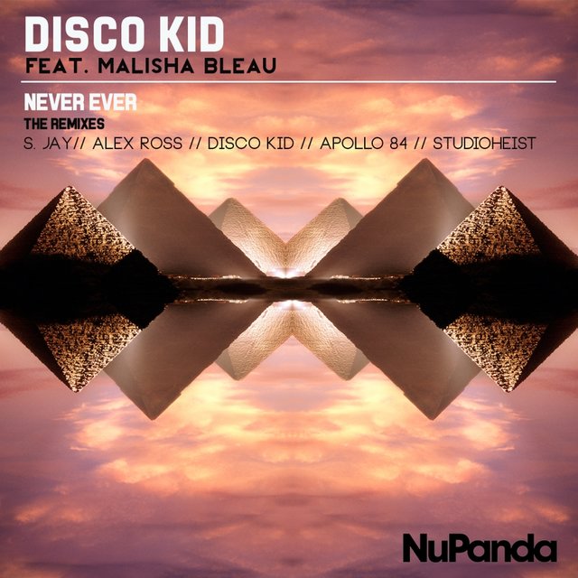 Never Ever - The Remixes