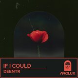 If I Could