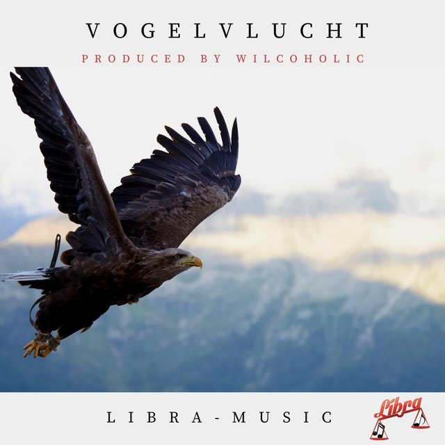 Vogelvlucht