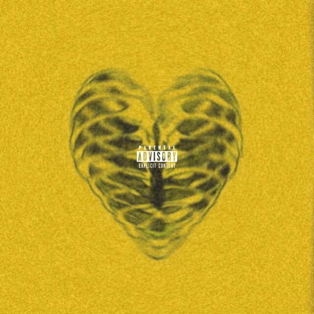 YELLOW HEARTZ