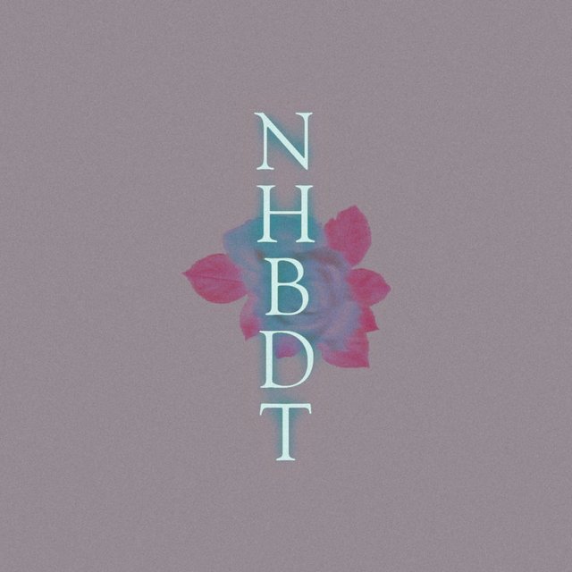 N.H.B.D.T