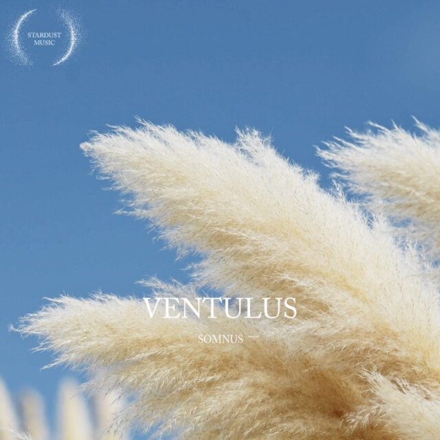 Ventulus