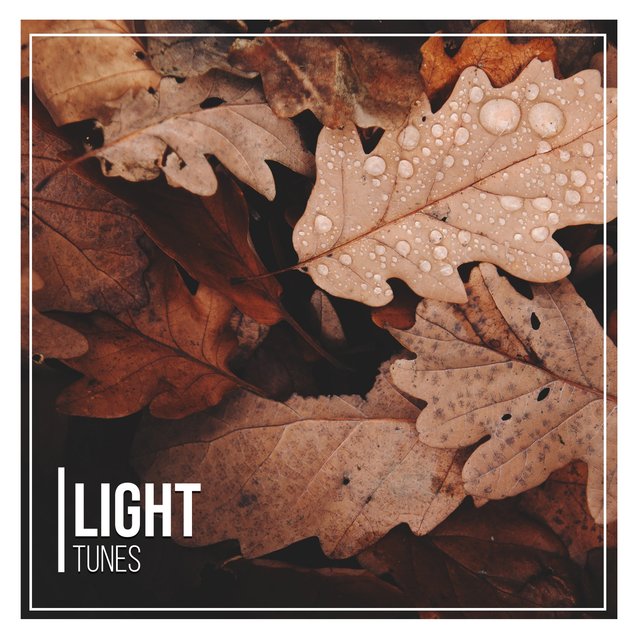 Light Tunes, Vol. 1