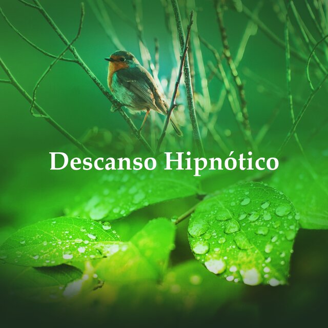 Descanso Hipnótico