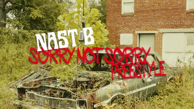 Sorry Not Sorry Freestyle