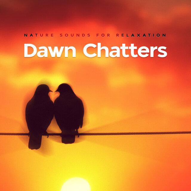 Dawn Chatters