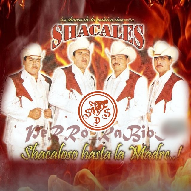 Shacaloso Hasta La Madre..!