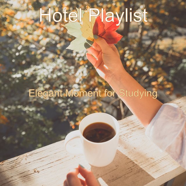 Elegant Moment for Studying