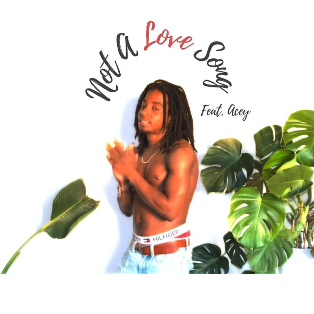 Not A Love Song (feat. Acey)