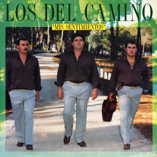 Mis Sentimientos