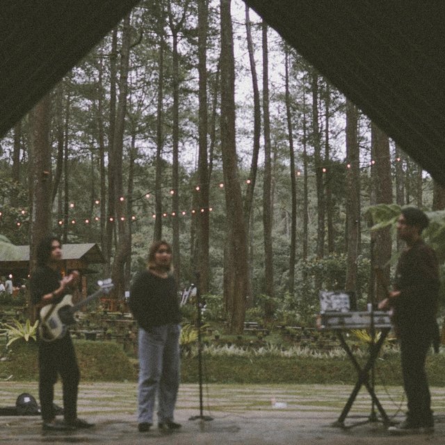 Forest Session