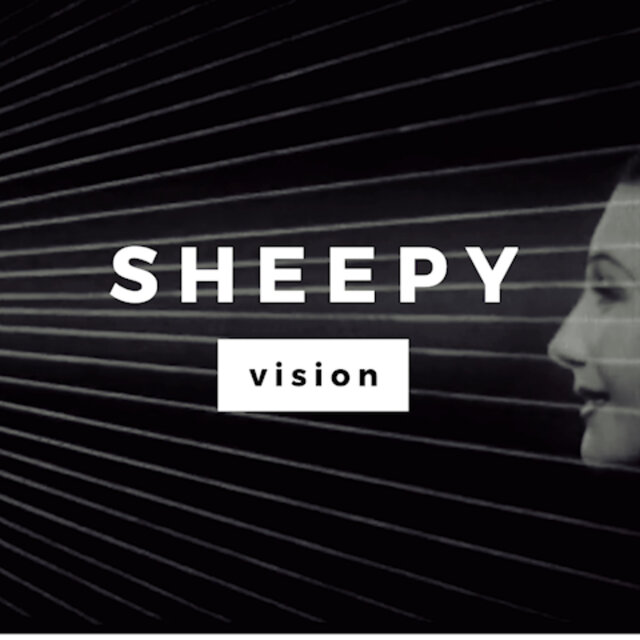 Vision