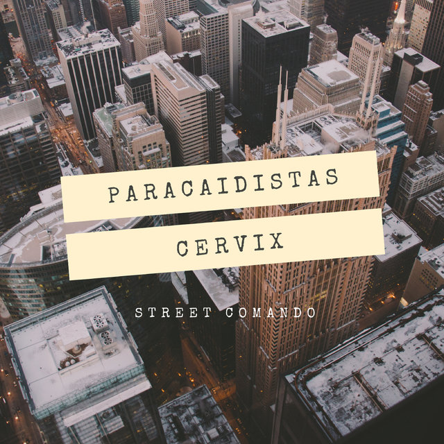 Paracaidistas