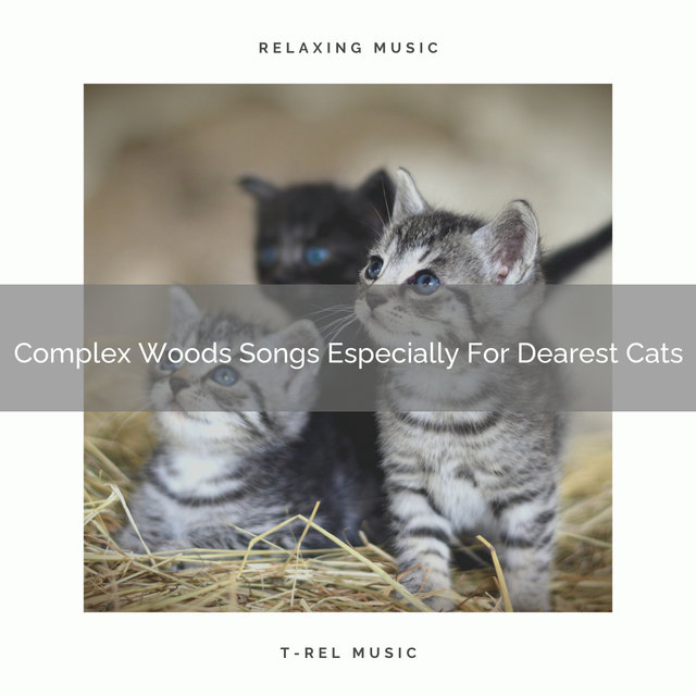 Complex Woods Songs Especially For Dearest Cats