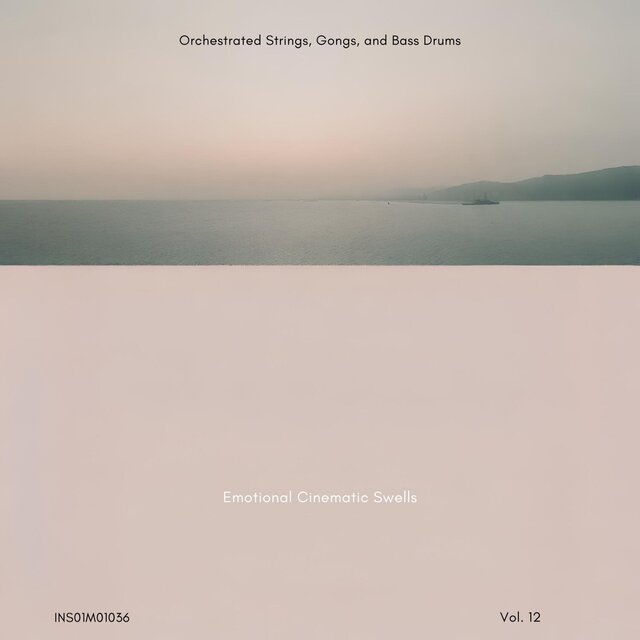 Emotional Cinematic Swells - Orchestrated Strings, Gongs, and Bass Drums, Vol. 12