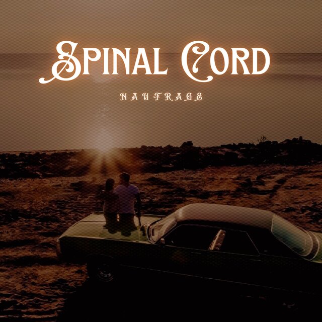 Spinal Cord