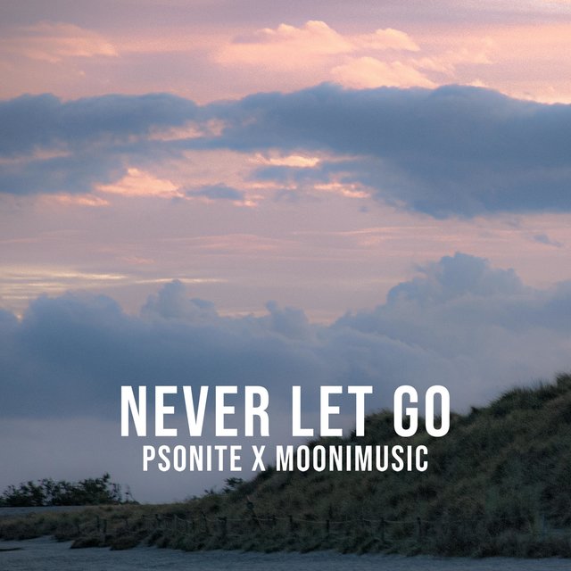 Never Let Go