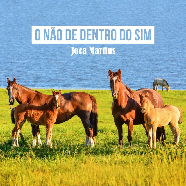 O Não de Dentro do Sim