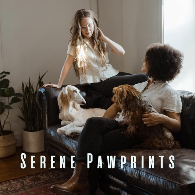 Serene Pawprints: Meditative Piano for Harmonious Pets