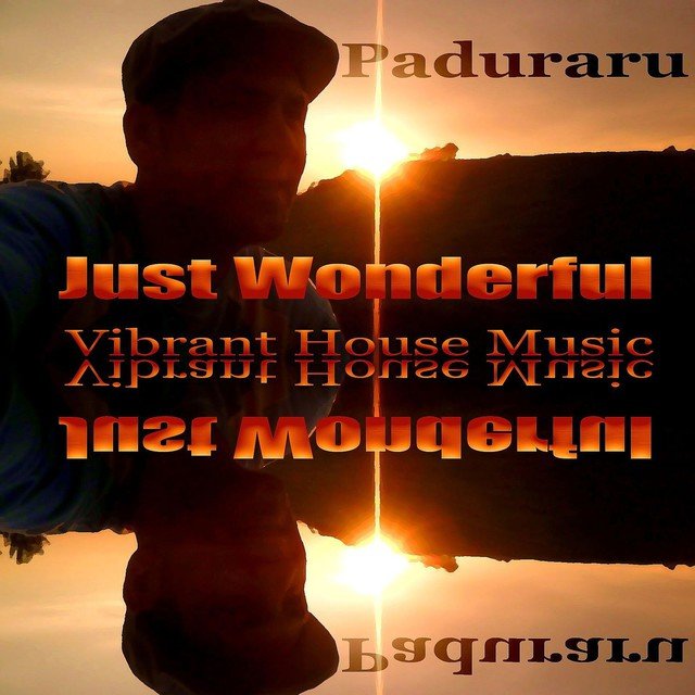 Just Wonderful (Vibrant Housemusic)