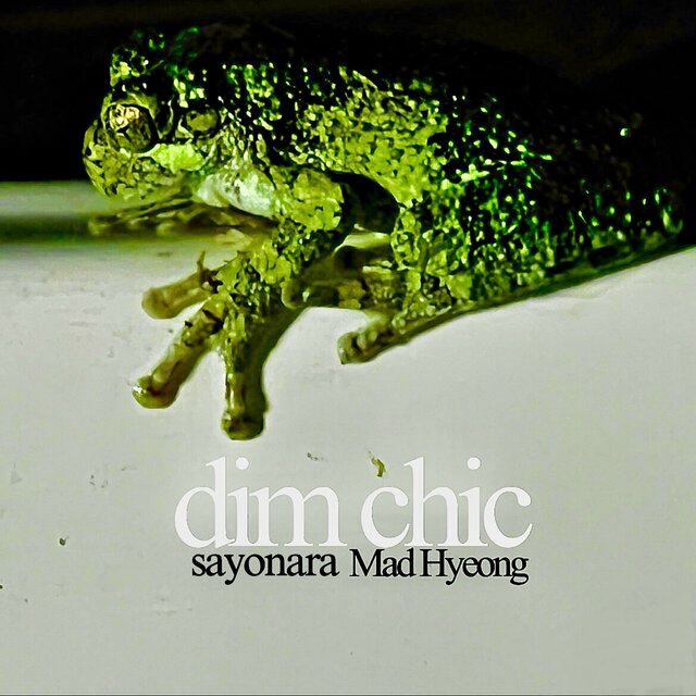 Dim Chic: Sayonara