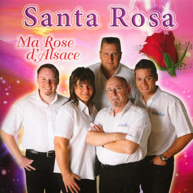 Ma rose d'Alsace